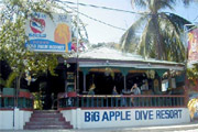 Big Apple Dive Resort Fan Room